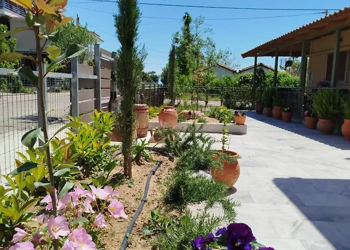 Ammos House - By The Sea * Katákolo